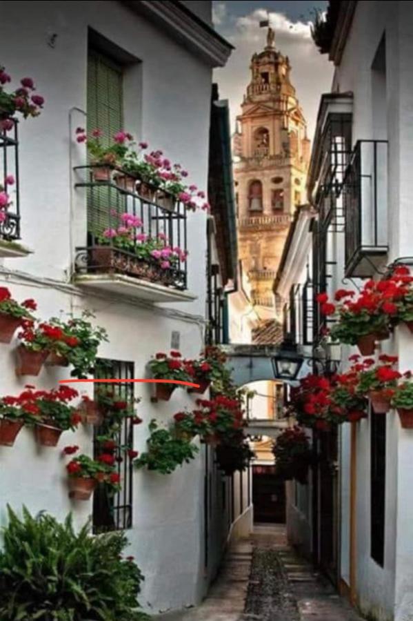 Apartamento Casa Isa *
